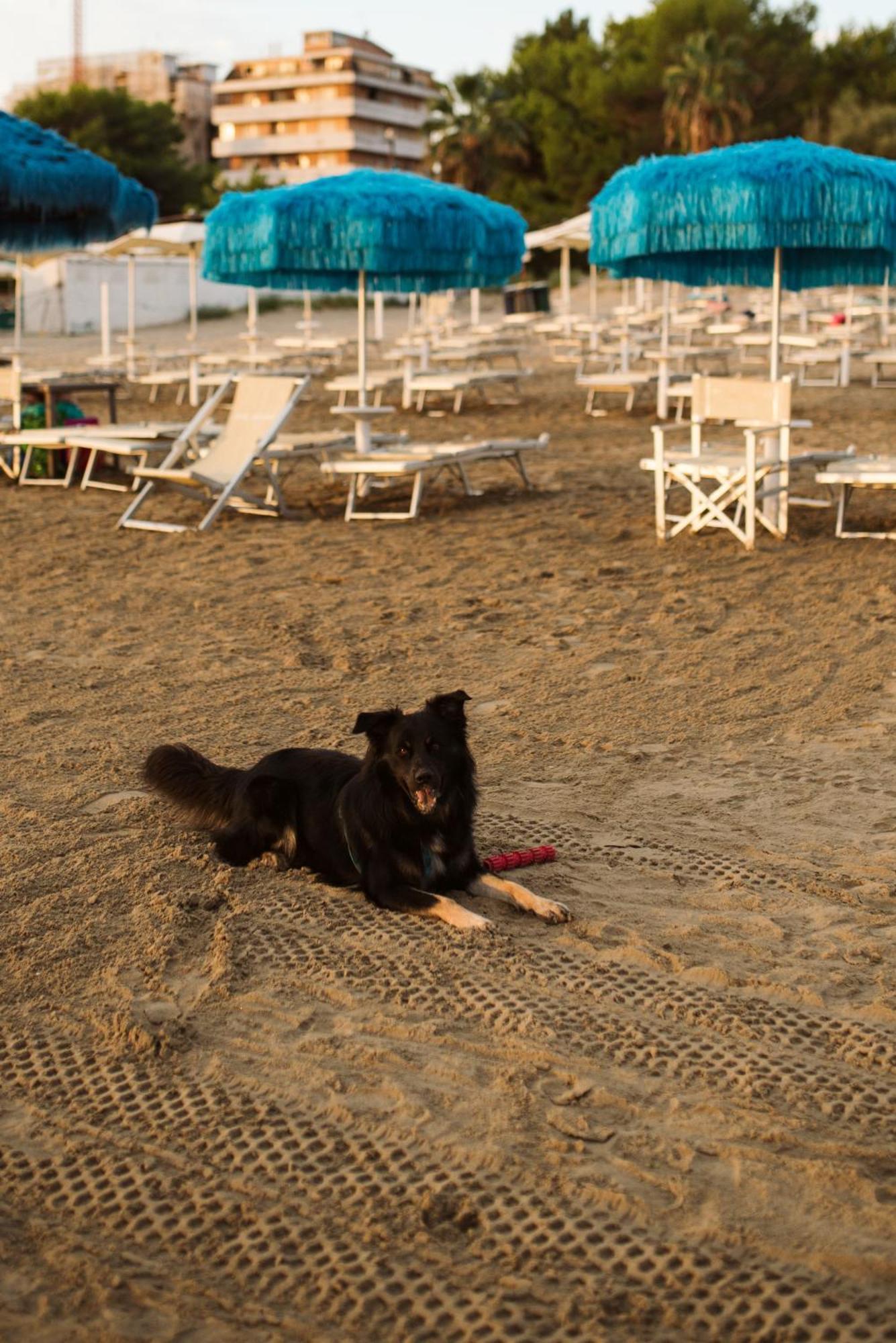 Hotel Antagos Montesilvano Marina Exteriér fotografie